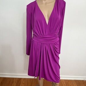 Express Fuchsia Long Sleeve Dress